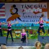 2015 Gála