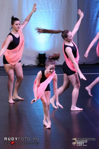 Connector_Dance_Fest2019