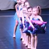 Connector_Dance_Fest2019