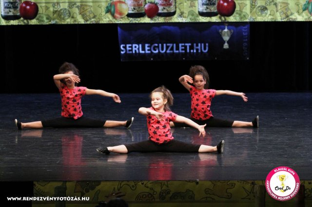 VIII. Klauzál Kupa, 2012. november 14., Nagytétény