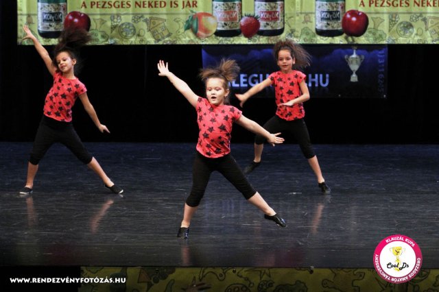 VIII. Klauzál Kupa, 2012. november 14., Nagytétény