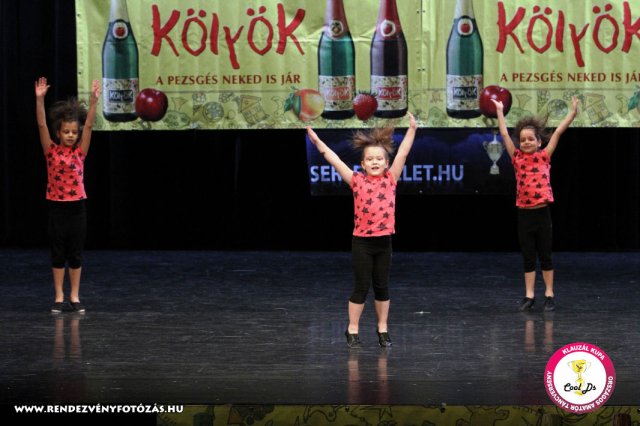 VIII. Klauzál Kupa, 2012. november 14., Nagytétény