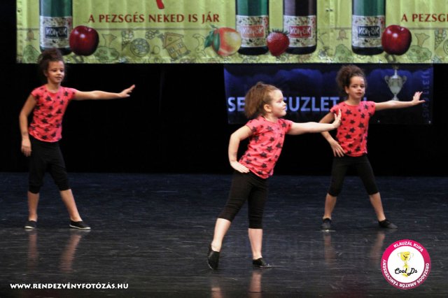 VIII. Klauzál Kupa, 2012. november 14., Nagytétény