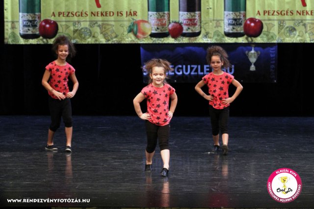 VIII. Klauzál Kupa, 2012. november 14., Nagytétény