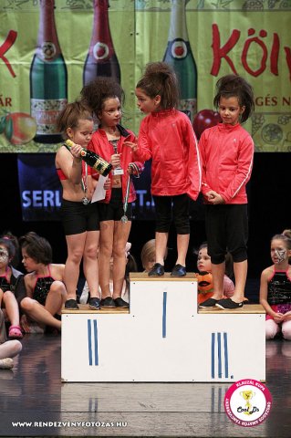 VIII. Klauzál Kupa, 2012. november 14., Nagytétény