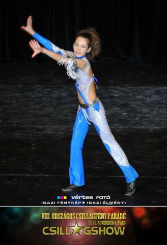 VIII. Országos Csillagfény Parádé, 2012. november 4., Paks