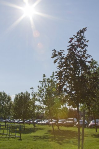 Táncvarázs Táncgála 2014 Augusztus