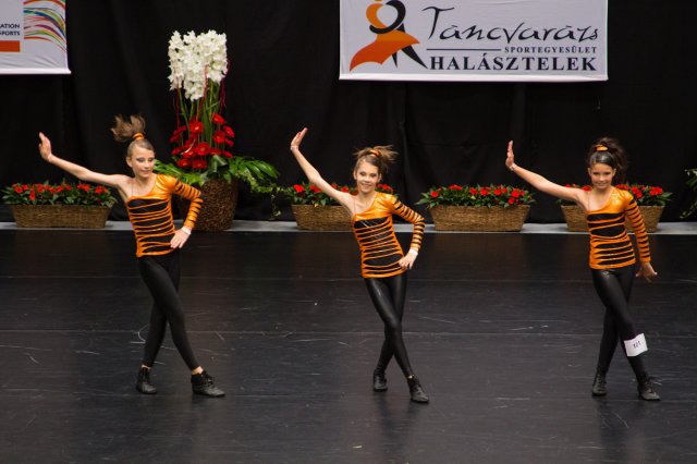 Világbajnokság 2013 Szigetszentmiklós