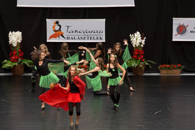 Világbajnokság 2013 Szigetszentmiklós