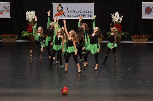 Világbajnokság 2013 Szigetszentmiklós